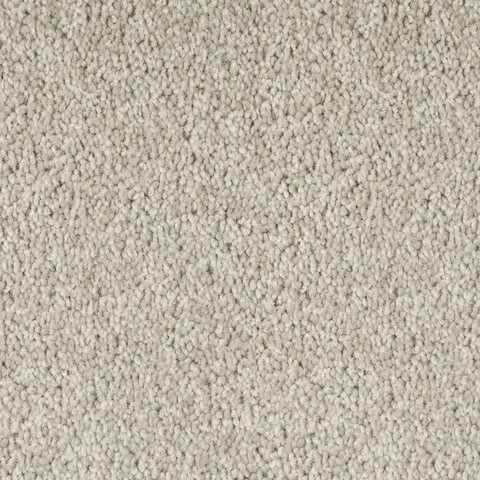 Dusty Plain carpet swatch